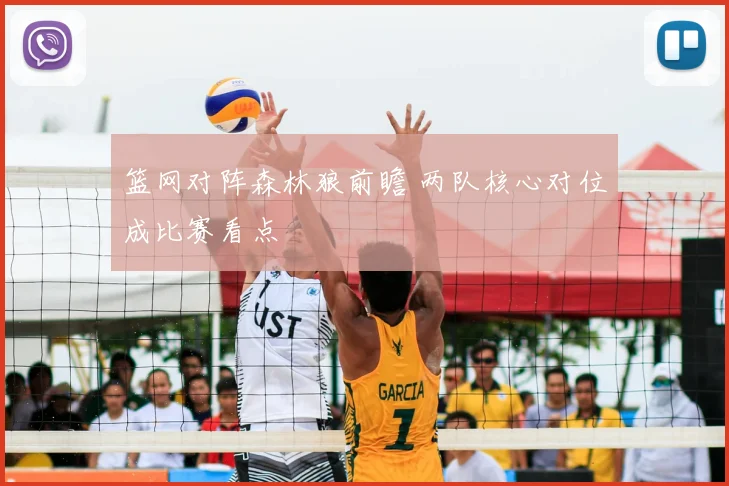 篮网对阵森林狼前瞻 两队核心对位成比赛看点
