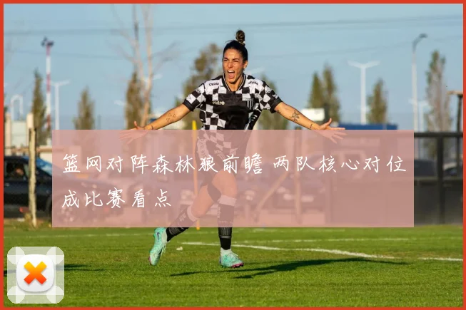 篮网对阵森林狼前瞻 两队核心对位成比赛看点