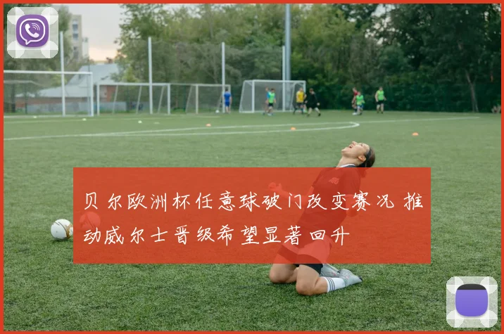 贝尔欧洲杯任意球破门改变赛况 推动威尔士晋级希望显著回升