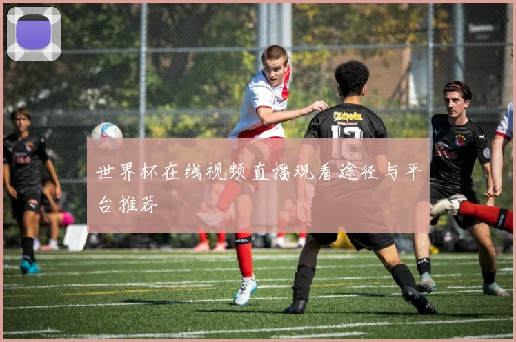 世界杯在线视频直播观看途径与平台推荐