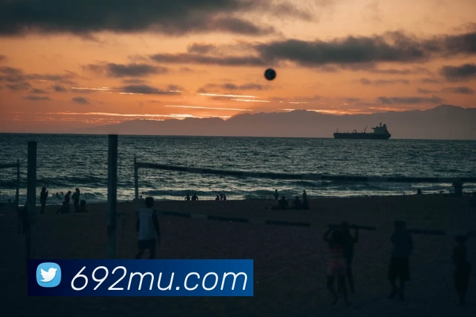 星空体育首页官网APP 封面图